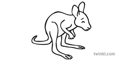 Kangaroo - Drawing Skill