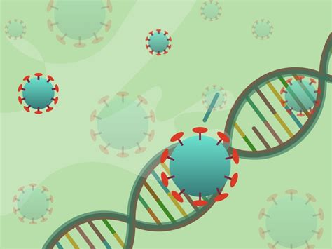 Novel Coronavirus Covid 19 Structure Genome And Testing Genetic