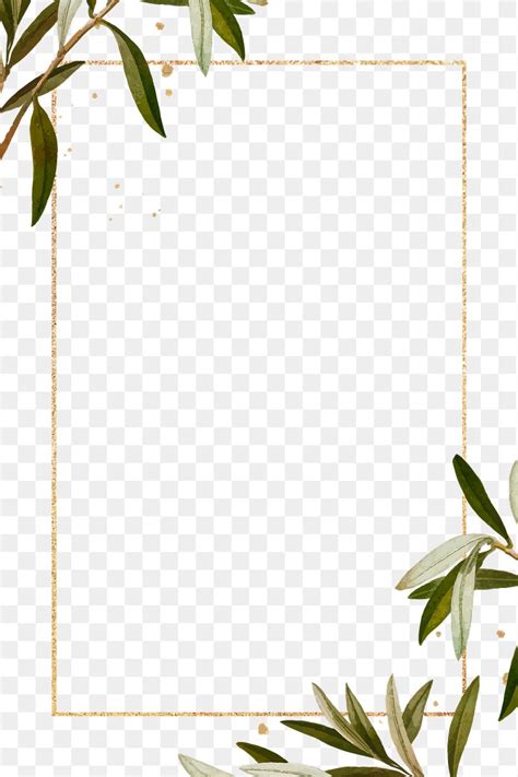 Olive Branches Frame Png Hand Premium Png Rawpixel