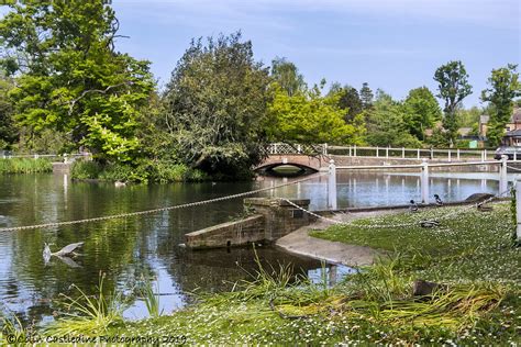 Carshalton Ponds North Street Bridge Over The Ponds Colin