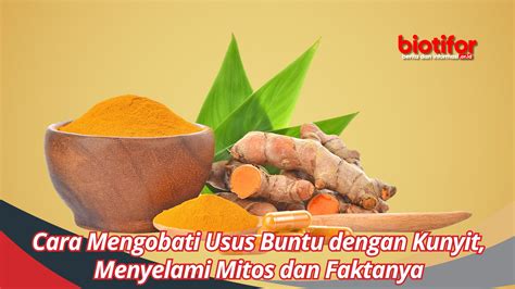 Cara Mengobati Usus Buntu Dengan Kunyit Menyelami Mitos Dan Faktanya