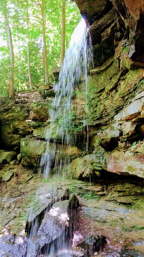 Gladie Creek Loop Bison Way Lost Branch Osborne Bend Tower Rock