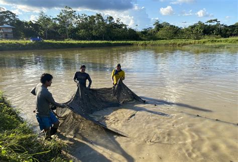 Gobierno otorgó más de S 8 9 millones en créditos a pescadores