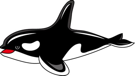 Download High Quality whale clipart orca Transparent PNG Images - Art ...