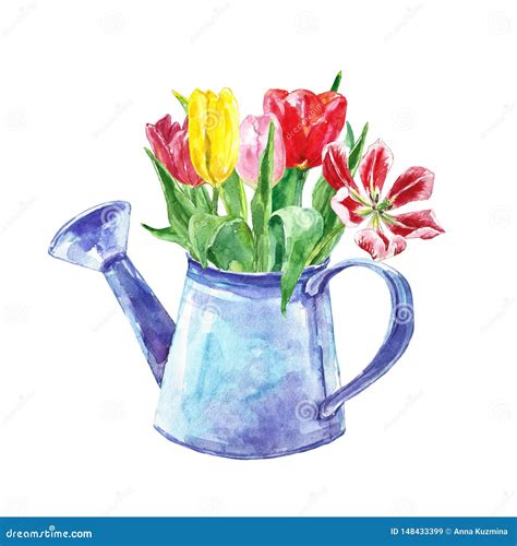 Watercolor Watering Can Tulips Clipart And Illustrations