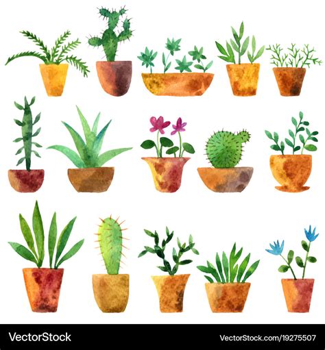 Watercolor drawing home plants Royalty Free Vector Image