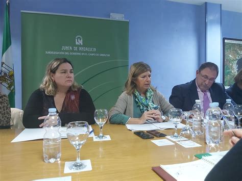 Excmo Ayuntamiento de La Línea de la Concepción El Ayuntamiento de