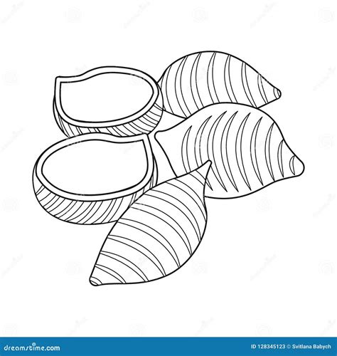 Isolated Object of Pasta and Carbohydrate Symbol. Collection of Pasta