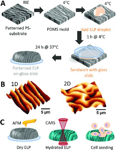 A Illustrates The Process Of Imprinting Nano And Microscale Wavy