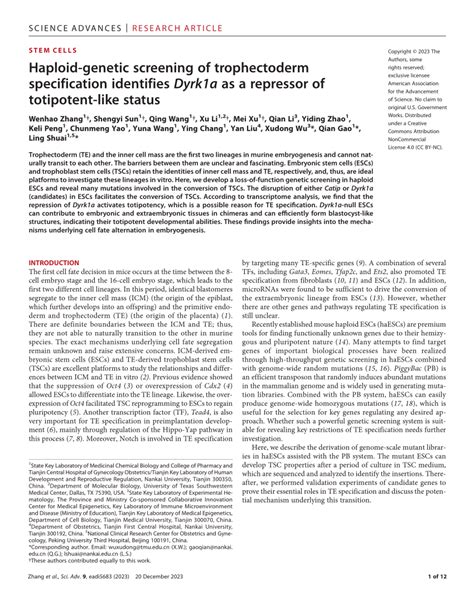 PDF Haploid Genetic Screening Of Trophectoderm Specification