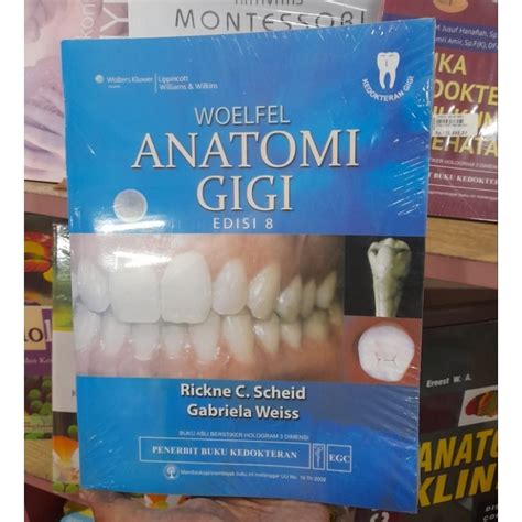 Jual Buku Original Woelfel Anatomi Gigi Edisi Rickne C Scheid