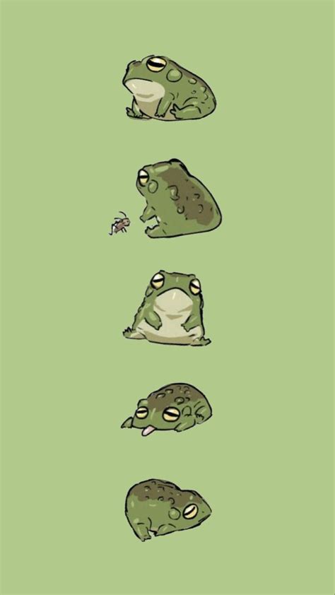 Hình Vẽ động Vật Liễu Yếu Frog Drawing Cute Cho Trẻ Em Học Tập Và Giải Trí