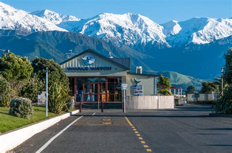 Whale watching boat tours Kaikoura with Whale watch kaikoura