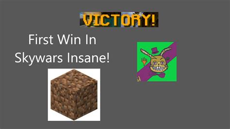 My First Skywars Insane Win Youtube