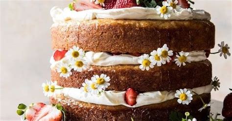 Strawberry Chamomile Naked Cake Fish Food