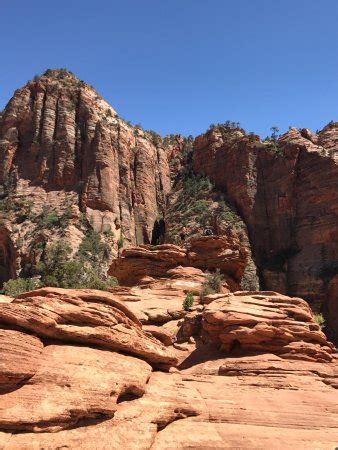 Zion Canyon Scenic Drive (Zion National Park, UT): Top Tips Before You ...