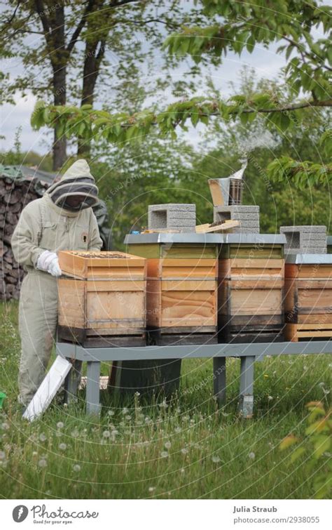 Imker Bienenstand Natur Rauch Ein Lizenzfreies Stock Foto Von Photocase