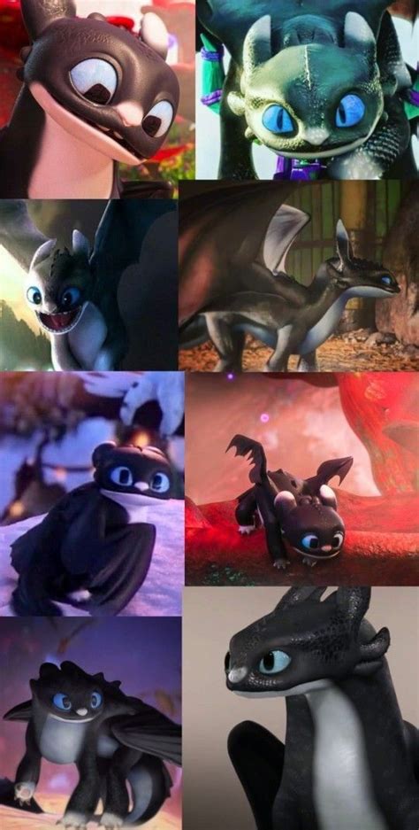 Dart Is So Cute How To Train Dragon How Train Your Dragon Httyd Art