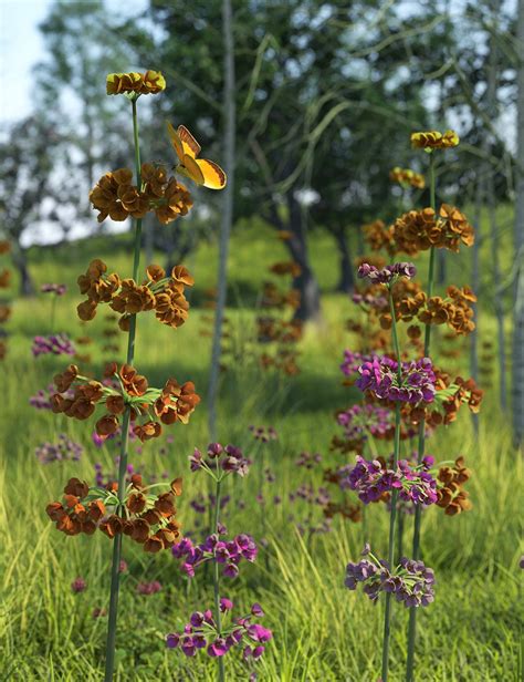 Candelabra Primula Flowers and Plants | Daz 3D