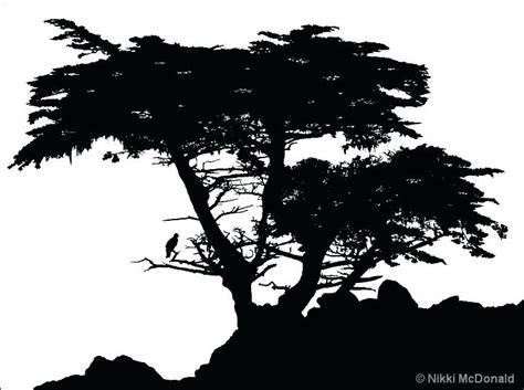 Cypress Tree Vector at GetDrawings | Free download