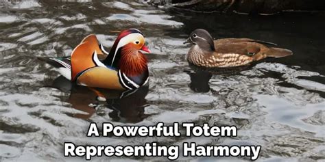 Mandarin Duck Spiritual Meaning, Symbolism and Totem (2025)