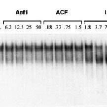 Nucleosome Sliding By Recombinant ISWI Acf1 ACF And ISWI A