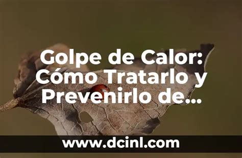 Tengo algo blanco en mi vagina Qué es y cómo tratarlo