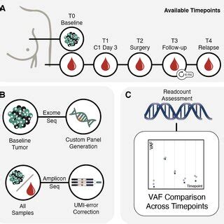 overview   methods  sample collection  sequencing  tumor
