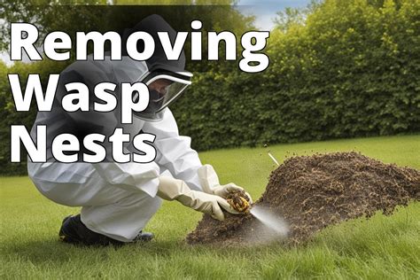 The Bugman's Guide to Dealing with Ground Wasp Nest Infestations