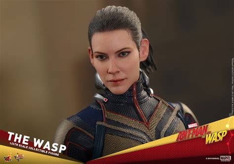 Ant Man And The Wasp Hot Toys Revealed