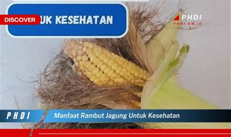 Ketahui Manfaat Rambut Jagung Untuk Kesehatan Yang Bikin Kamu Penasaran