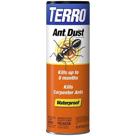 how keep ants out of house 2