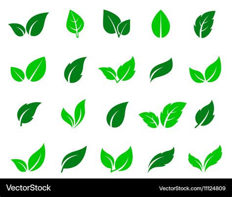 Green Leaf Icons Set Royalty Free Vector Image