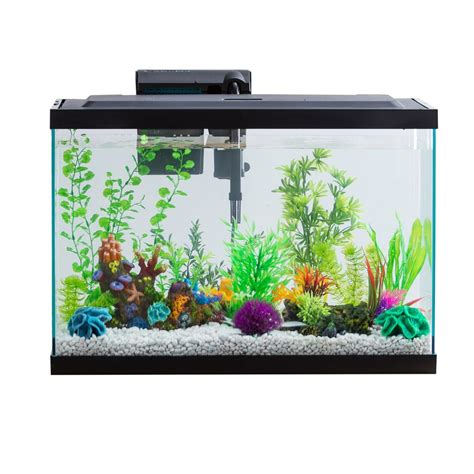 Best Fish Tank Aquarium | Need a Quality Fish Tank | Guide