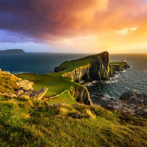 Islands - Elite Wine & Whisky