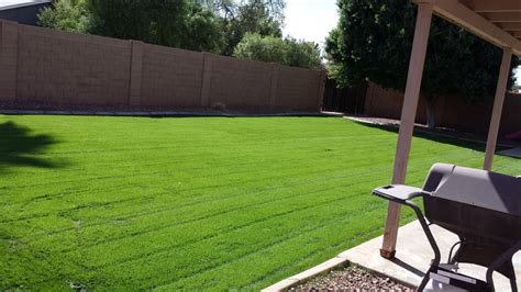 Residential Lawn Care Service | BV Lawn Care