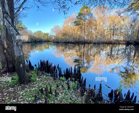 Withlacoochee River Marion County Florida Stock Photo Alamy