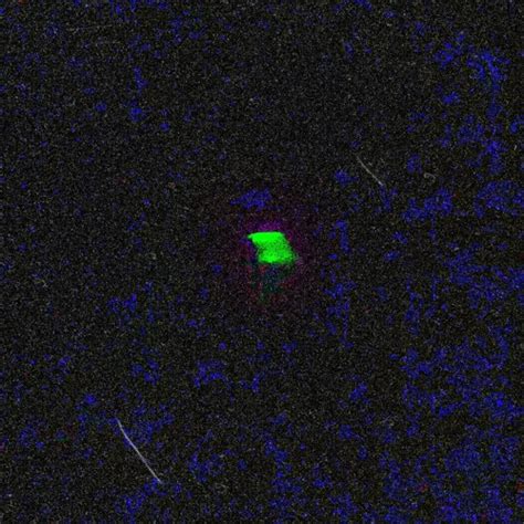 Stream Fuck Em All Prod Puke By Puke Listen Online For Free On SoundCloud