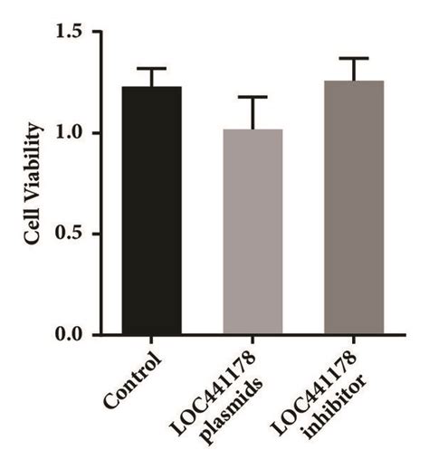 Loc Knockdown And Overexpression Affected The Migratory