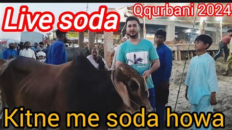 Live Soda Kitne Ka Howa Lahore Mandi Update Bakra Mandi Youtube