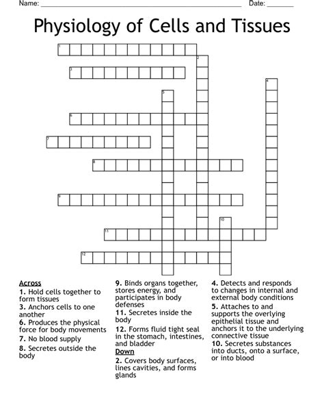 The Tissue Level Of Organization Crossword WordMint