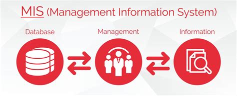 Management Information System Development - Right InfoService - Ahmedabad