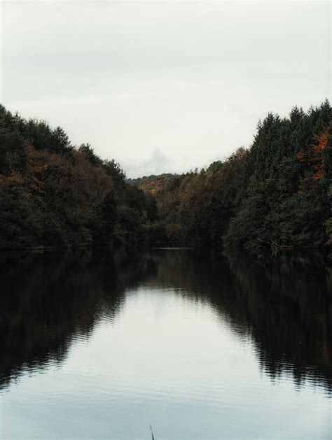 Lake Trees Shore Water Landscape Hd Phone Wallpaper Peakpx