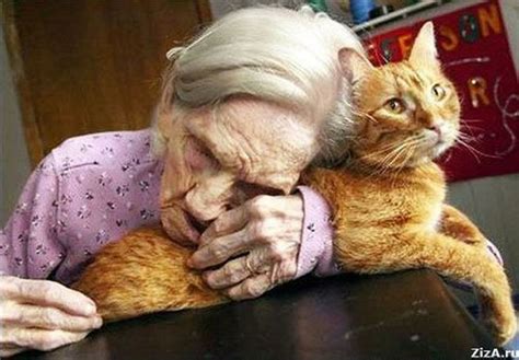 True Love— The Old Woman And Her Cat Crazy Cats Cats Cat Love