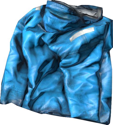 Дождевик - Одежда - DayZ Wiki