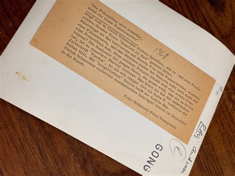 Vintage German Actress Andrea Rau Nude W Camera 8 X 10 Photo Etsy