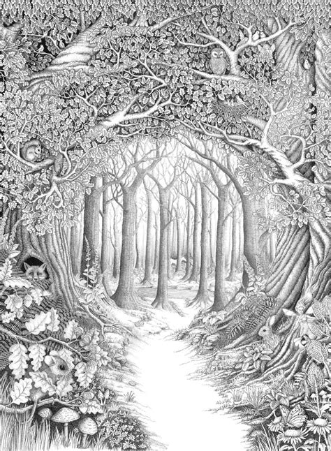 Enchanted forest by ellfi on DeviantArt