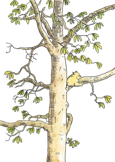 Winnie The Pooh And The Honey Tree Drawing