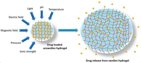 Swelling Carried On By Various Chemical And Physical Events In A Drug