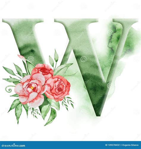 Floral Watercolor Alphabet Monogram Initial Letter W Design With Hand Drawn Peony Flower Stock